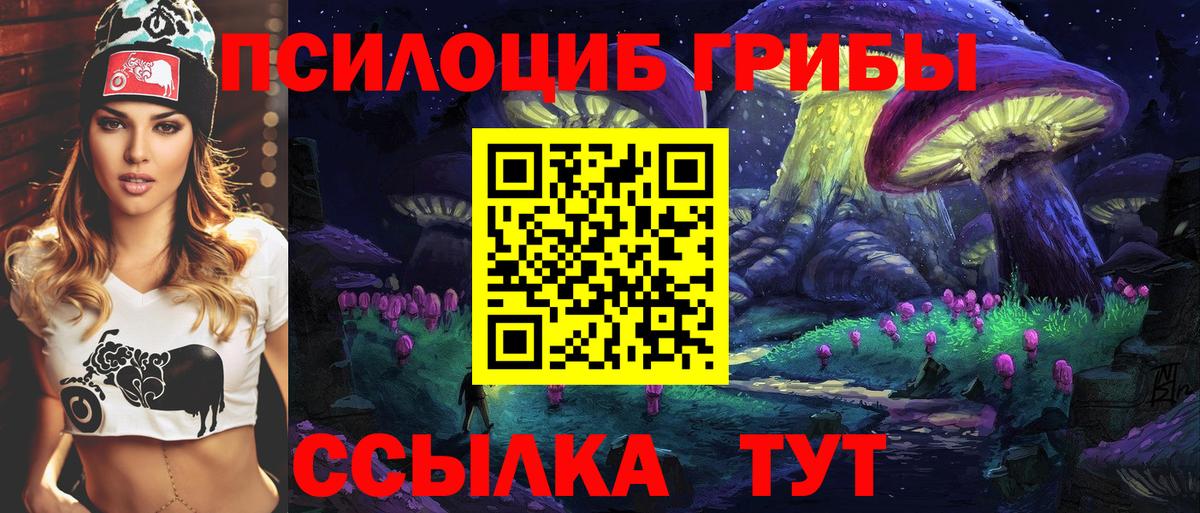 Мурманск  Галлюциногенные грибы MAGIC MUSHROOMS  хочу наркоту  Вход с VPN 